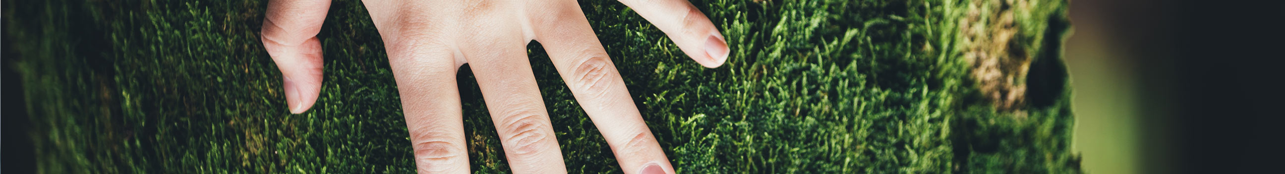 Stap 2: doelgroepanalyse